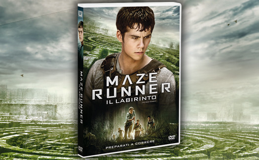 Maze Runner - Il Labirinto : Movies & TV 